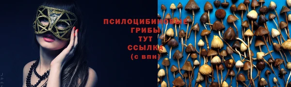 кокс Армянск