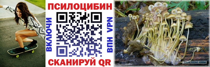 Купить  Сретенск  Псилоцибиновые грибы прущие грибы 