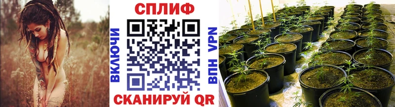 Купить Сретенск Конопля ГИДРОПОН